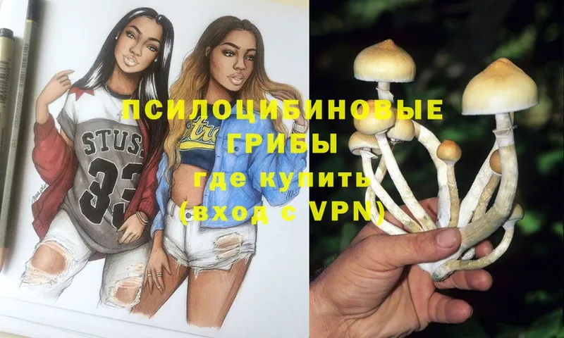 хочу наркоту  Кохма  Псилоцибиновые грибы MAGIC MUSHROOMS 